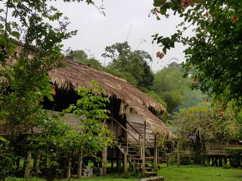 Bribri Medicinal Plants and Chocolate Tour Costa Rica